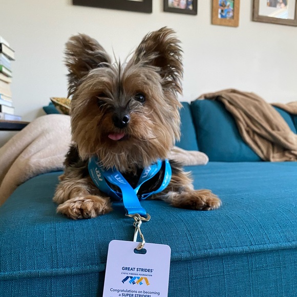 Meet your Posher, Sara - Picture 3 of 4